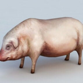 Modelo 3d de porco doméstico