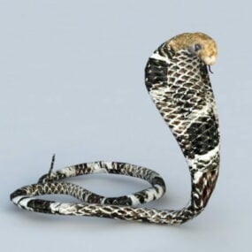 3d модель королівської змії кобри