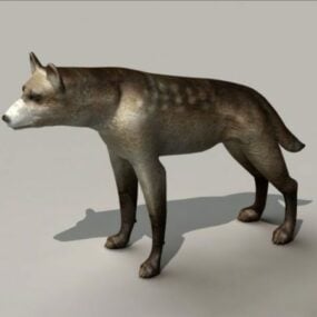 Gefleckte Hyäne 3D-Modell