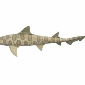 Requin Léopard modèle 3D