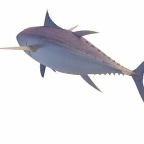 Yellowfin Tuna Animal 3d model