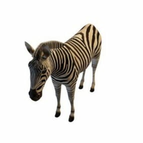 Model 3D zebry z równin afrykańskich