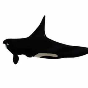 نموذج حيوان الحوت القاتل ثلاثي الأبعاد