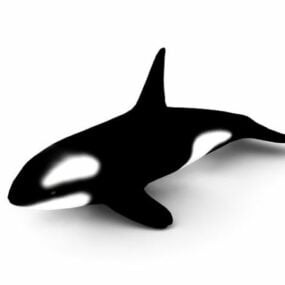 Mô hình 3d động vật cá voi sát thủ