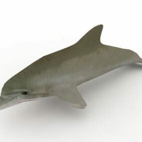 نموذج حيوان الدلفين قاروري الأنف ثلاثي الأبعاد