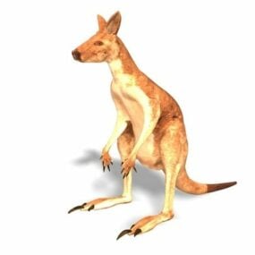 דגם תלת מימד של בעלי חיים קנגורו אדום אוסטרלי