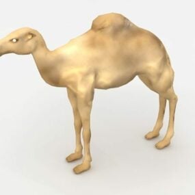 Afrykański dromader pustynny Model 3D wielbłąda
