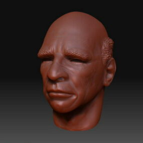 Siatka do rzeźbienia głowy starca Model 3D