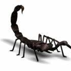 Black Scorpion Animal