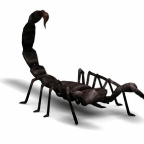 Schwarzes Skorpion-Tier-3D-Modell