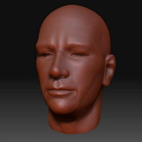 基本的な人間の男性の頭のキャラクター 3D モデル
