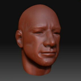 3D model mužské hlavy středního věku Basemesh Character