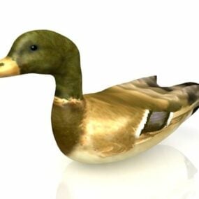 Baby Duck Animal, Duckling In Pond 3d model