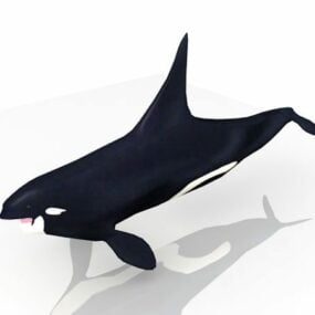 Tiburón tigre animal modelo 3d