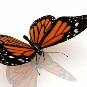 총독 나비 동물 3d 모델