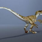 Velociraptor Dinosaurio Animal