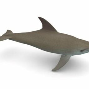 バンドウイルカの動物 3D モデル