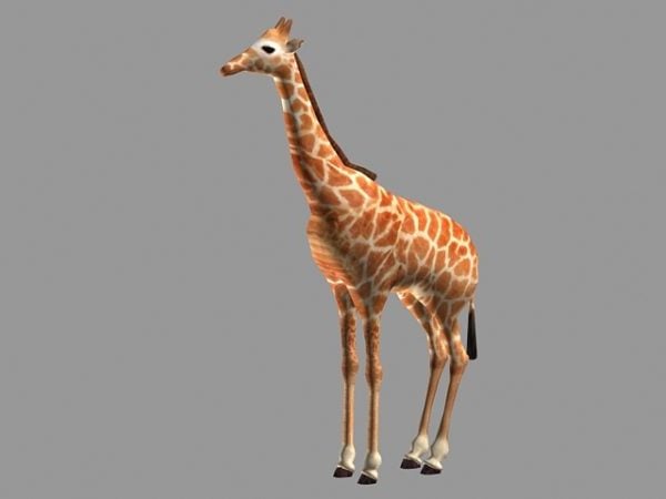 Adult Giraffe Animal Free 3d Model - .Max, .Vray - Open3dModel