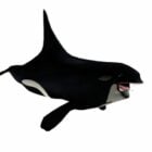 Killer Whale Animal