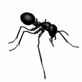 黒アリの動物3Dモデル
