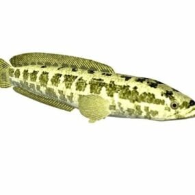 북부 뱀 머리 물고기 동물 3d 모델