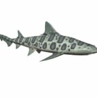 Leopar Köpekbalığı Balık Hayvan
