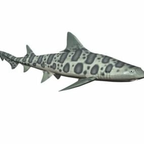 표범 상어 물고기 동물 3d 모델