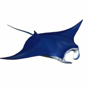 Mô hình 3d động vật cá Manta Ray