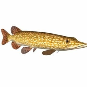 북부 파이크 물고기 동물 3d 모델