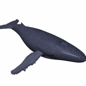 โมเดลสัตว์ปลาวาฬหลังค่อม 3d