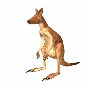 Antilopine Kangaroo Animal דגם תלת מימד