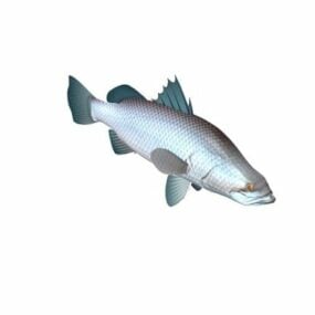 Model 3d Haiwan Ikan Barramundi