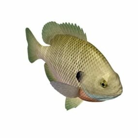 ब्लूगिल मछली पशु 3डी मॉडल