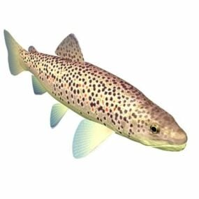 Model 3d Hewan Ikan Trout Coklat