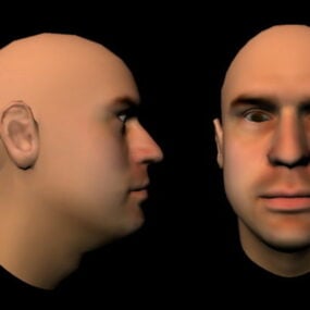 Base Man Head Character 3d-model