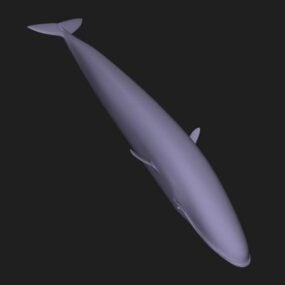 Modelo 3d da baleia azul do mar