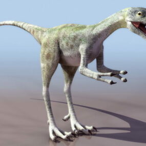 แบบจำลองสัตว์ไดโนเสาร์ Compsognathus 3d