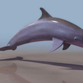 مدل سه بعدی دلفین بینی بطری دریا