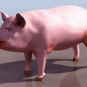 דגם תלת מימד של חזיר
