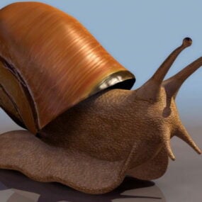 동물 땅 달팽이 3d 모델