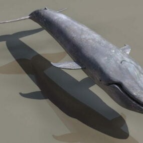 3D model zvířecí modré velryby
