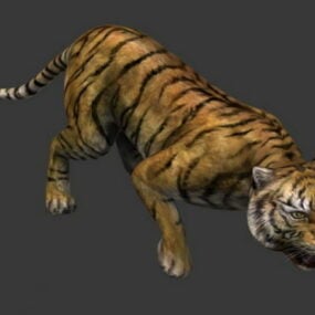 Modelo 3d do tigre de Bengala da Ásia