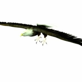Wild Flying Hawk 3d model