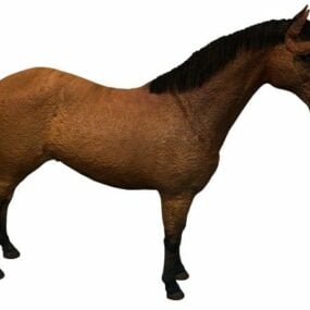 3D model domácího koně