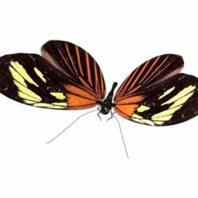 3D model dospělého motýla