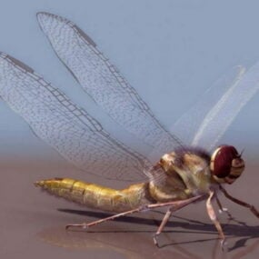 Modello 3d realistico della libellula gialla
