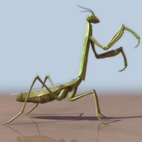 Gold Mantis animado com Rig Modelo 3D