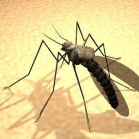 Adult Mosquito 3d model