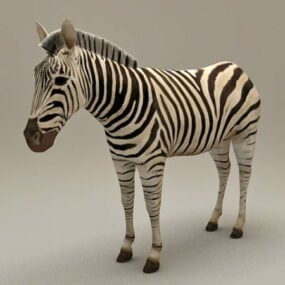 Afrika Zebra dier 3D-model