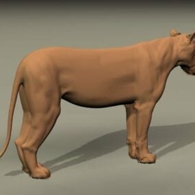 Afrika Dişi Aslanı 3D modeli